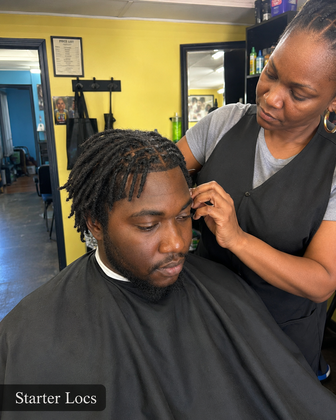 Starter Locs
